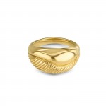 Anel Pliss� Golden