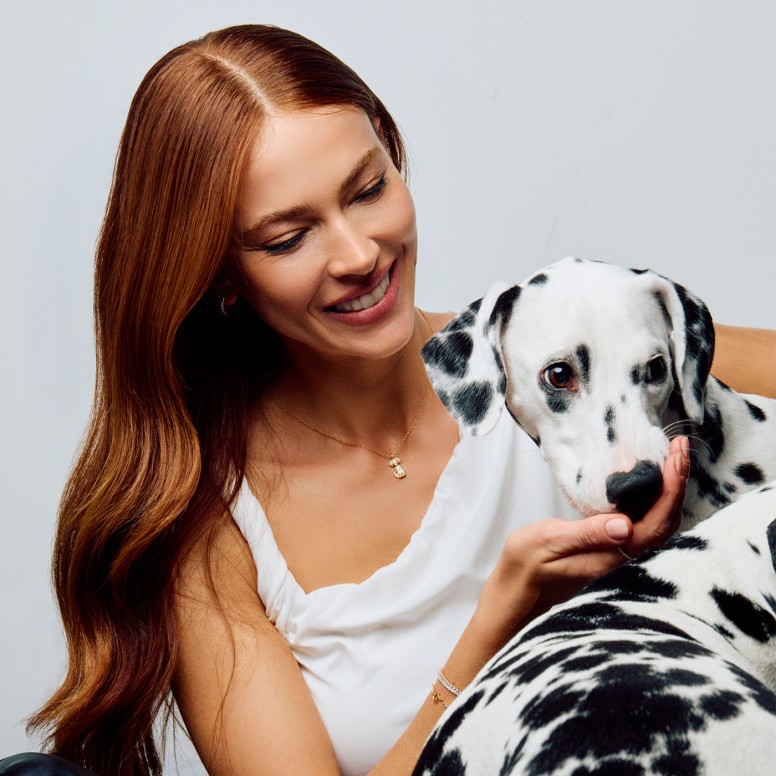 Colar Pet Dog