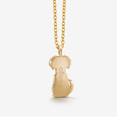 Colar Pet Dog