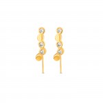 Desire Bicolor Earrings