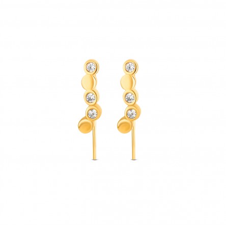 Pendientes Desire Bicolor