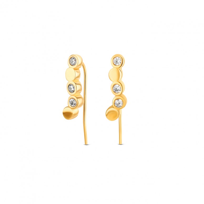 Desire Bicolor Earrings