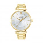 Reloj Classic Dorado