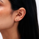Desire Bicolor Earrings