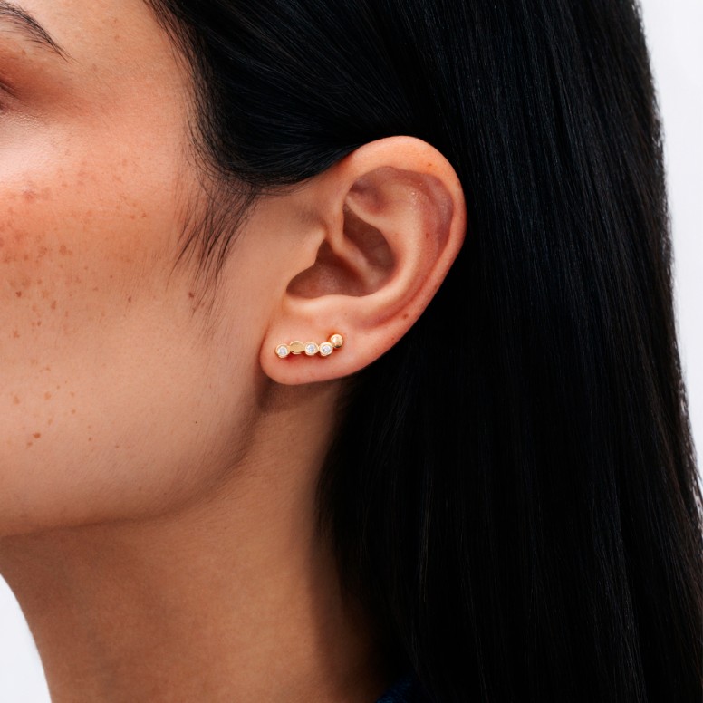 Desire Bicolor Earrings