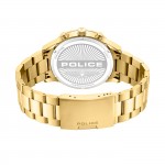 Levuka Golden Watch