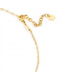 Conjunto Collar y Pendientes Amour Golden
