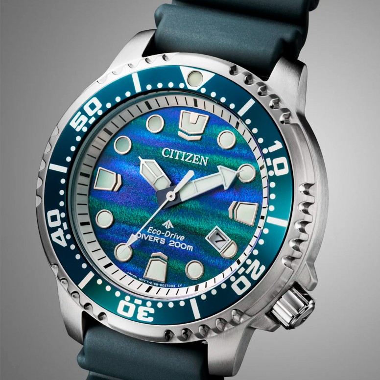 Black Promaster Watch Limited Ed.