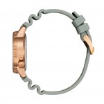 Reloj Promaster Gris Ed. Limitada