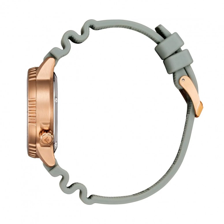 Reloj Promaster Gris Ed. Limitada