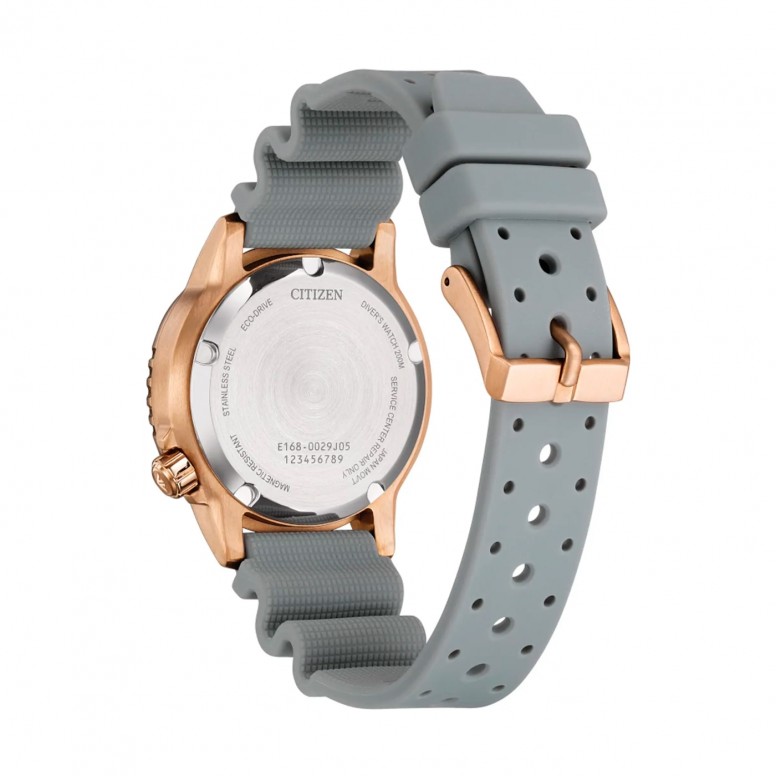 Reloj Promaster Gris Ed. Limitada