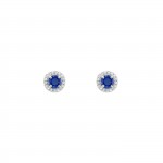 Blue Royal Colors Earrings