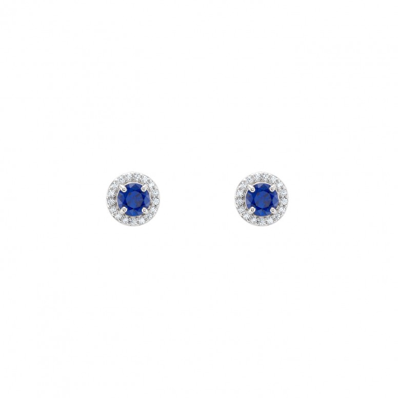 Blue Royal Colors Earrings