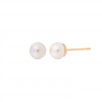 Pendientes Lyra