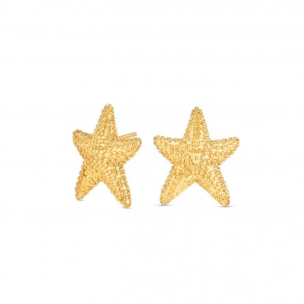 Pendientes Sunny Star Dorado