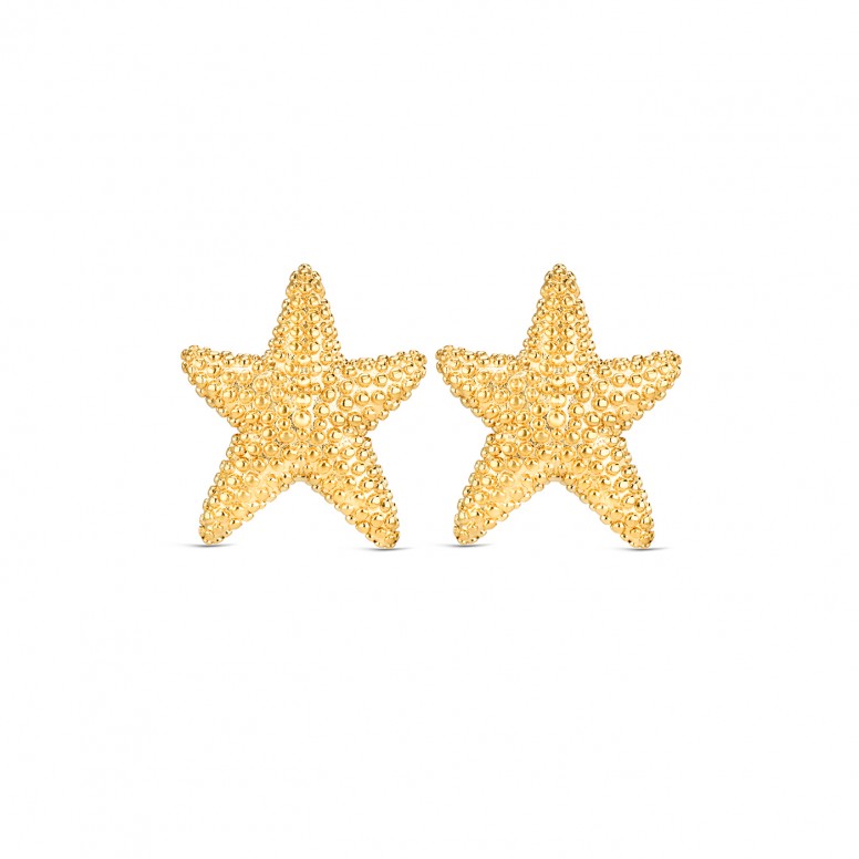 Pendientes Sunny Star Dorado