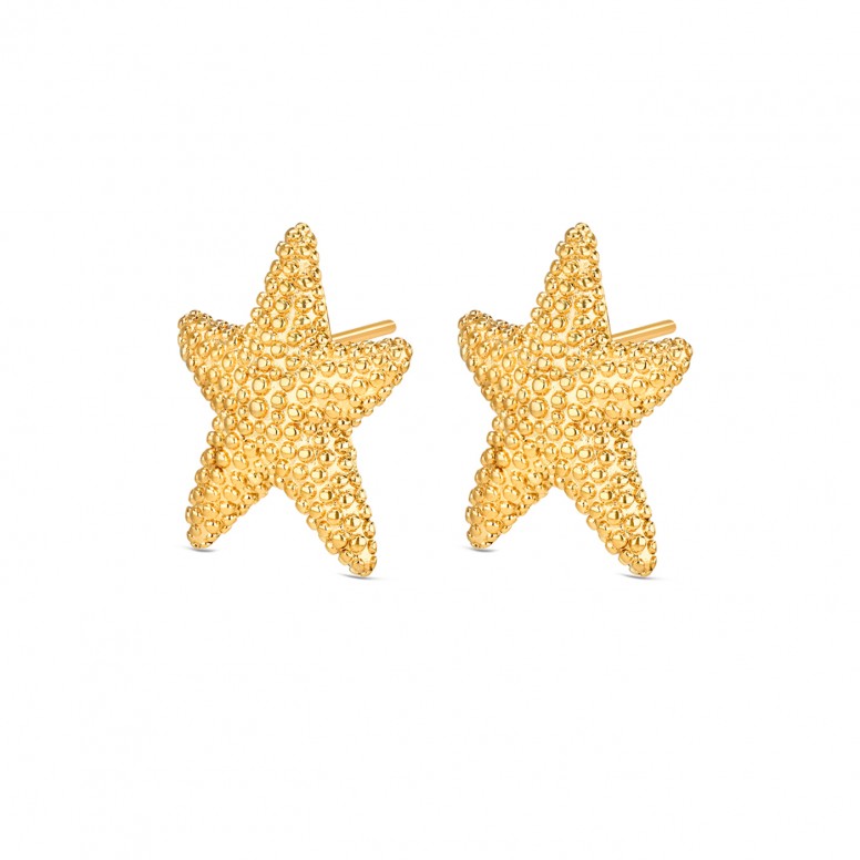 Pendientes Sunny Star Dorado