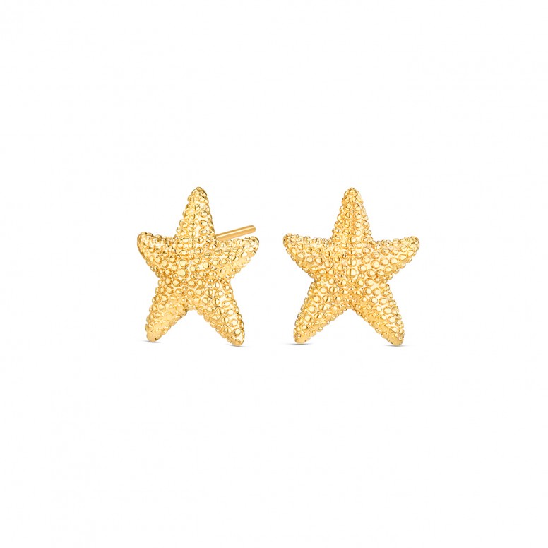 Pendientes Mini Sunny Star Dorado