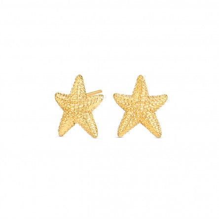 Pendientes Mini Sunny Star Dorado