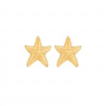 Pendientes Mini Sunny Star Dorado