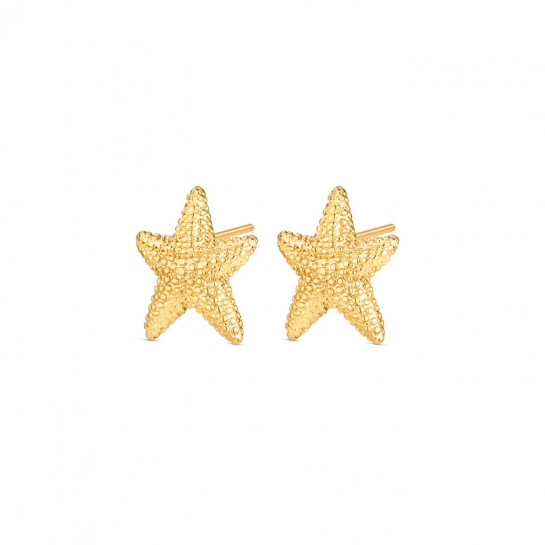 Pendientes Mini Sunny Star Dorado