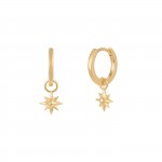 Aros Golden Star