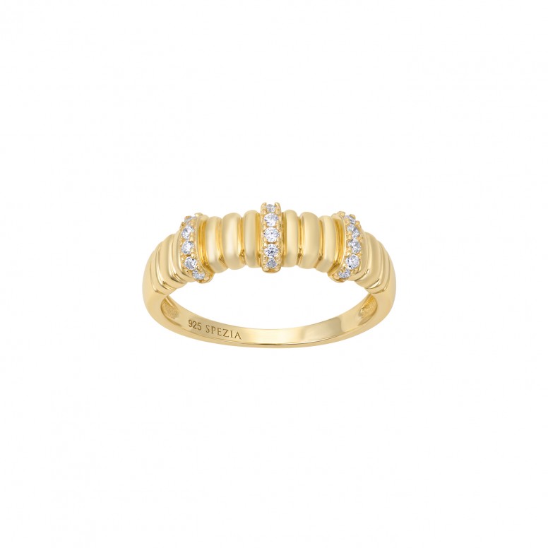 Anel Golden Elegant Texture