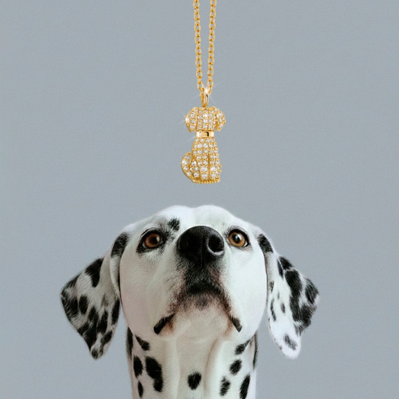Colar Pet Dog