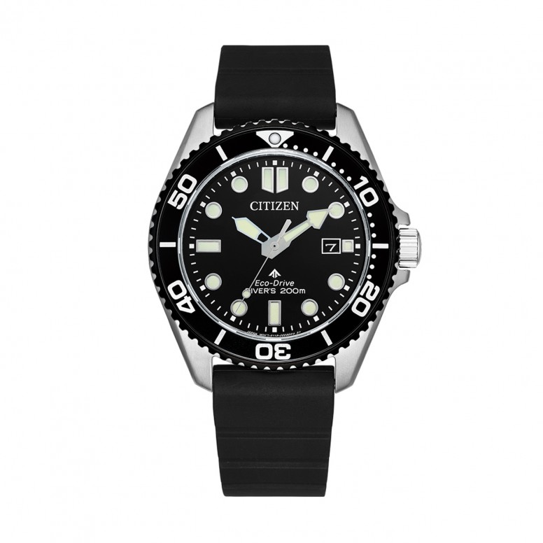 Promaster Diver Black Watch