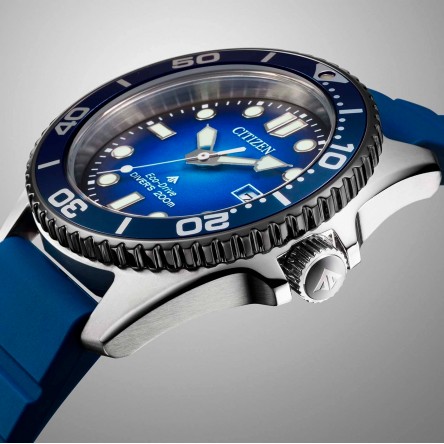 Promaster Diver Blue Watch