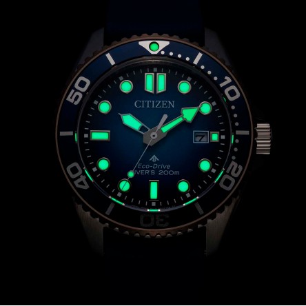 Promaster Diver Blue Watch