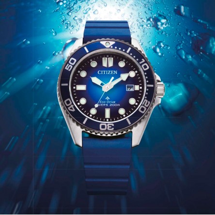 Promaster Diver Blue Watch